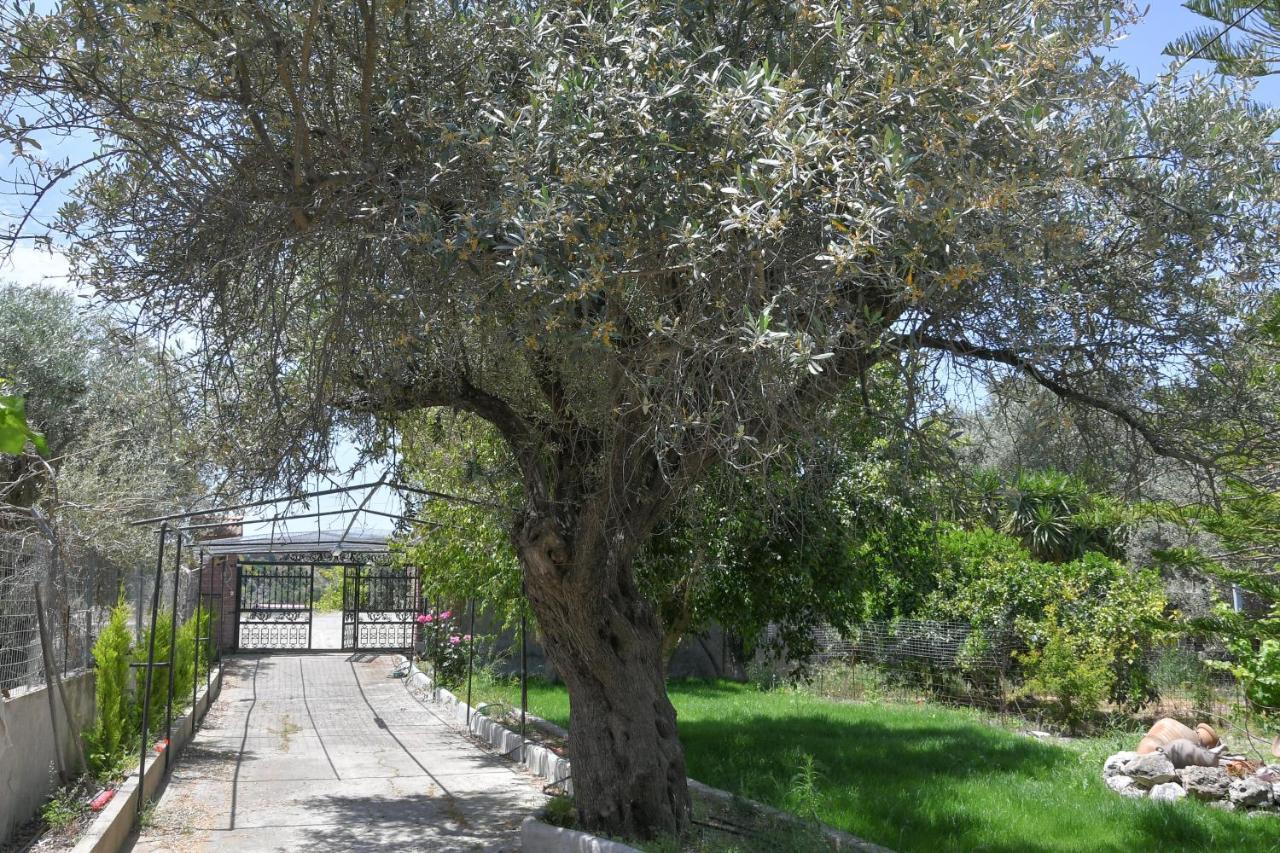 Ferienhaus The Olive Garden House Charaki